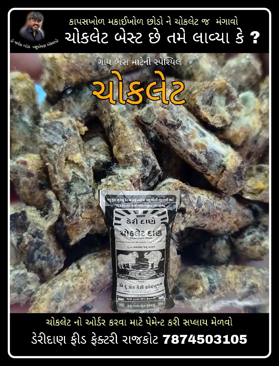 ગાય ભેંસ માટેની ચોકલેટ