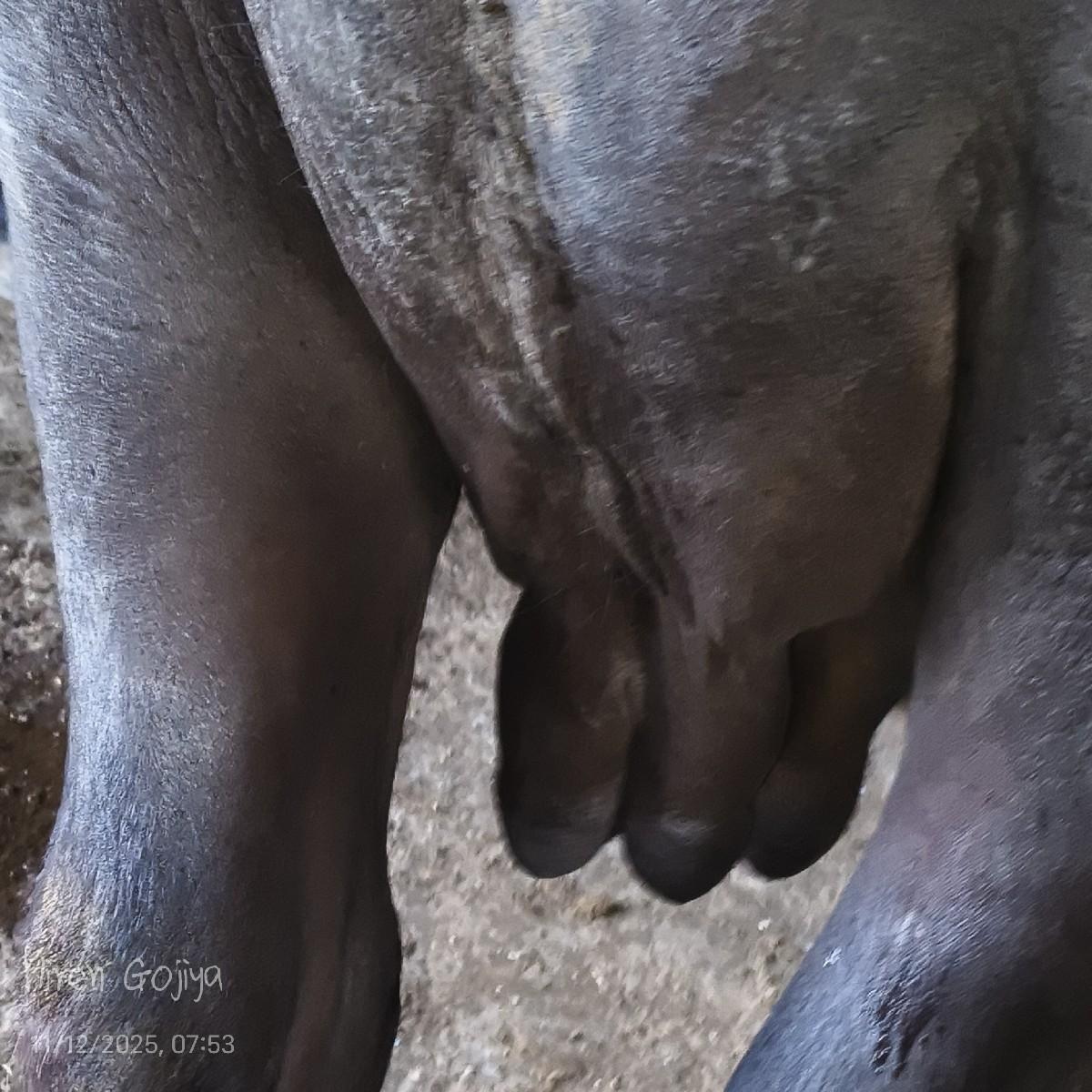 થંબનેલ 3