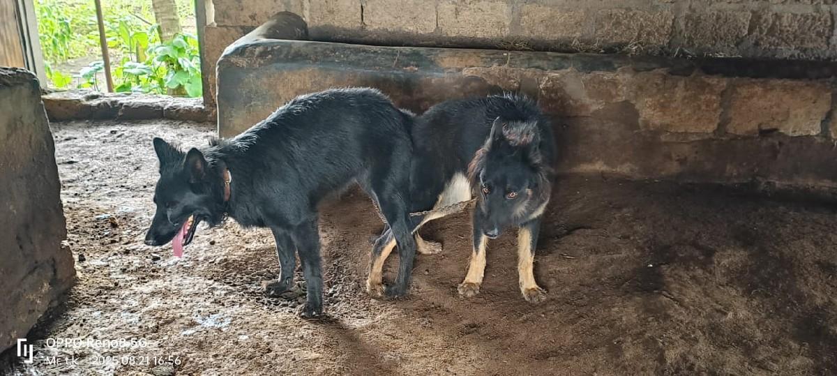 થંબનેલ 3