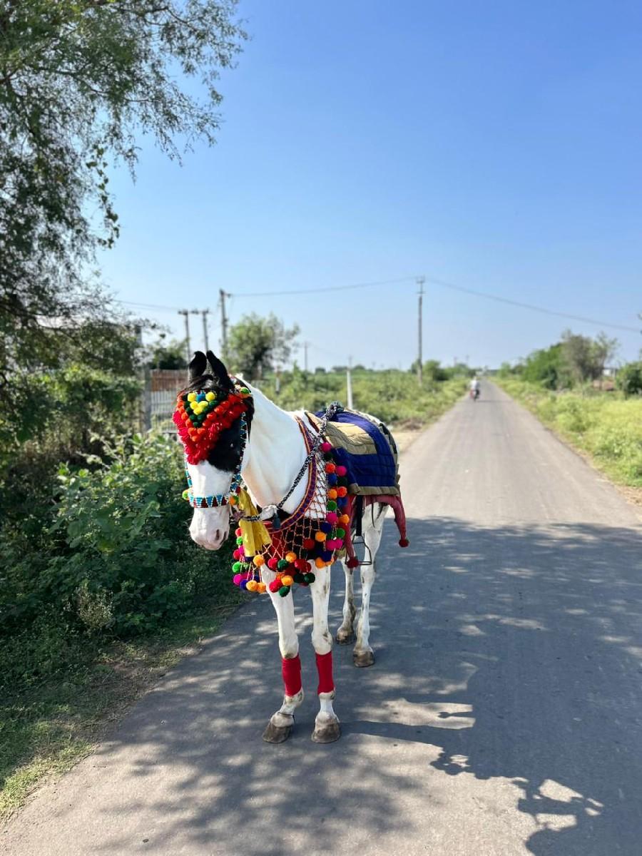 થંબનેલ 3