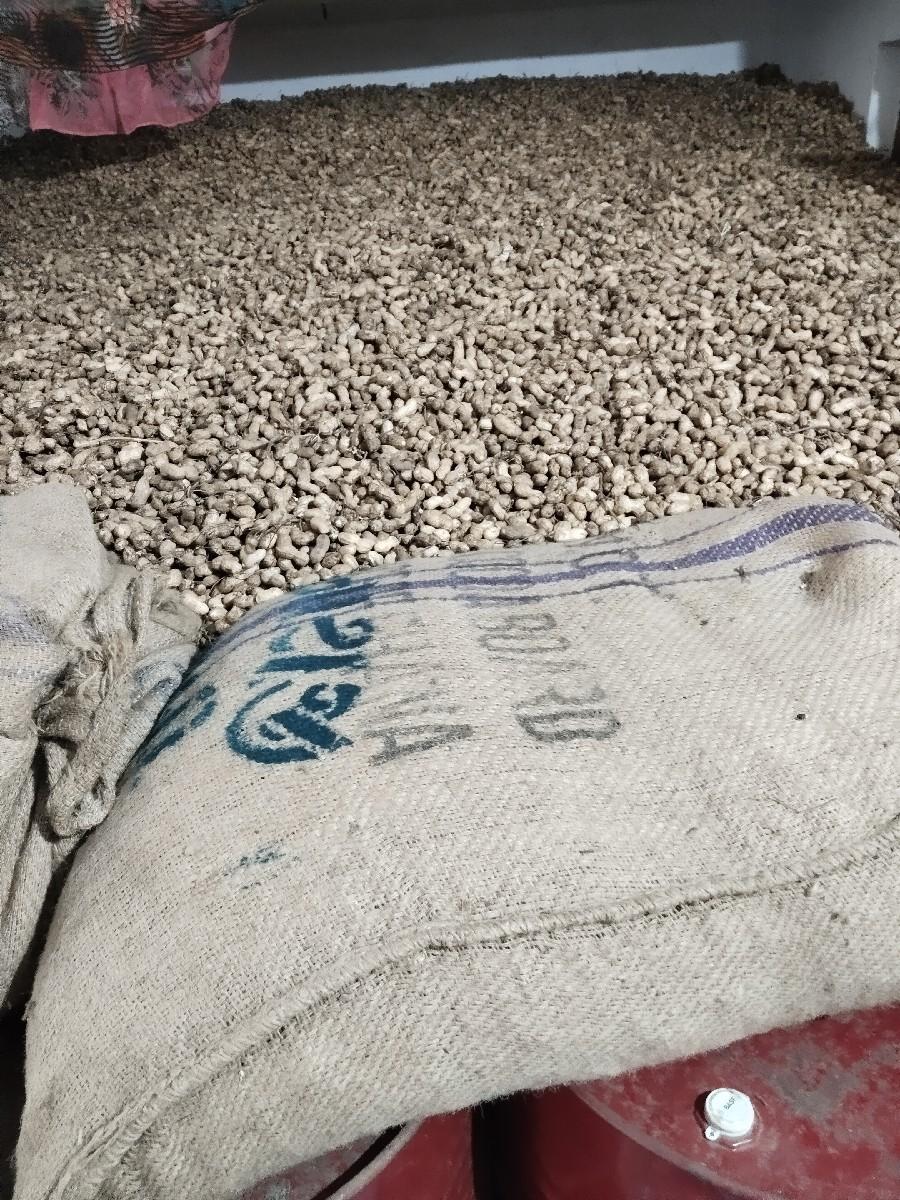 39 મગફળી વેચવાની