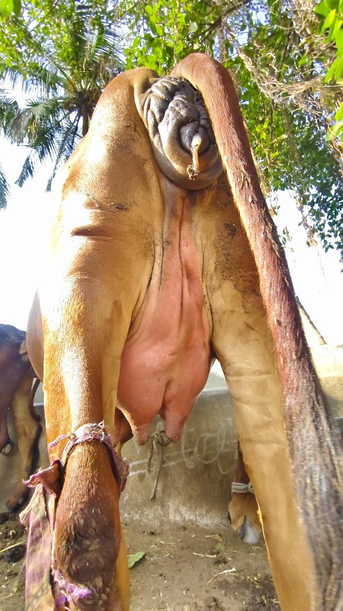 થંબનેલ 2