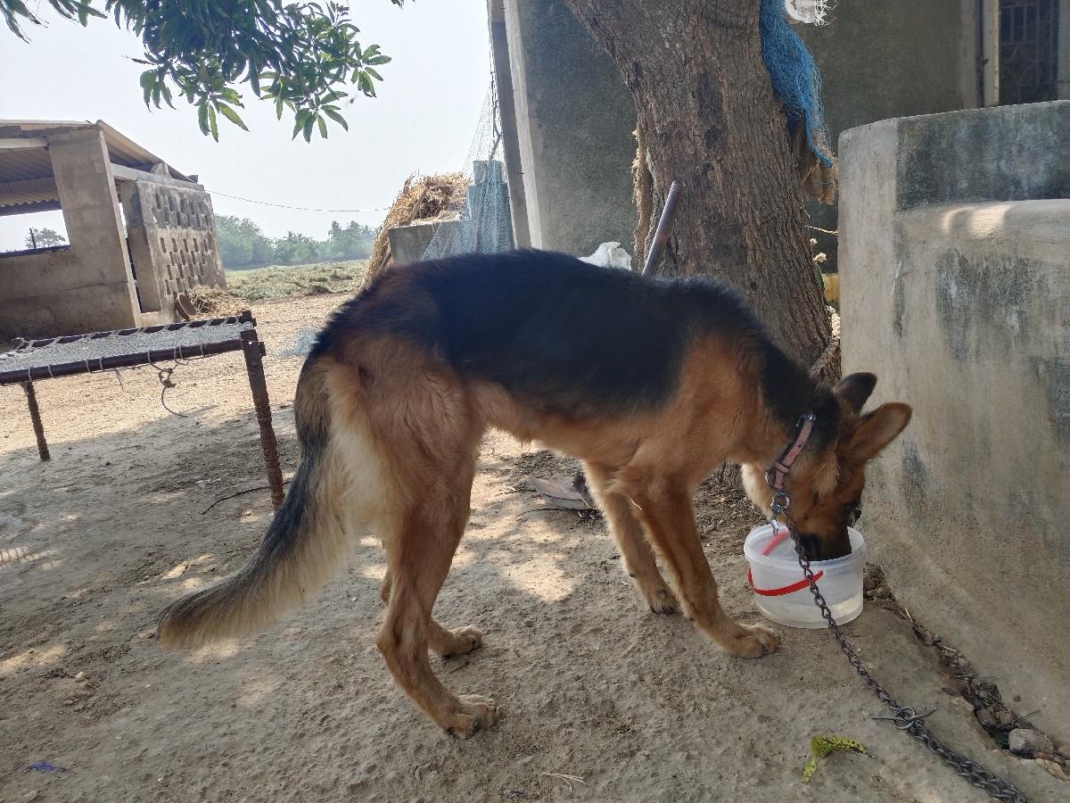 થંબનેલ 3