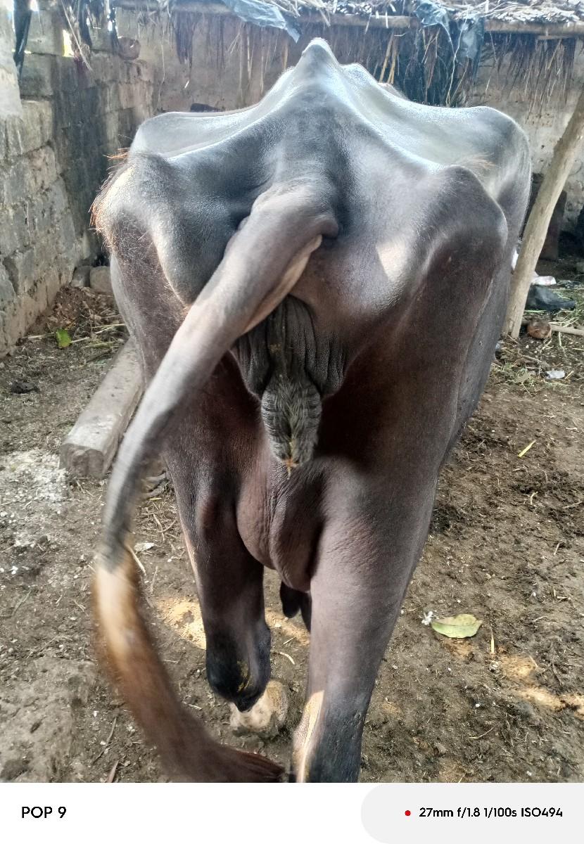 થંબનેલ 3