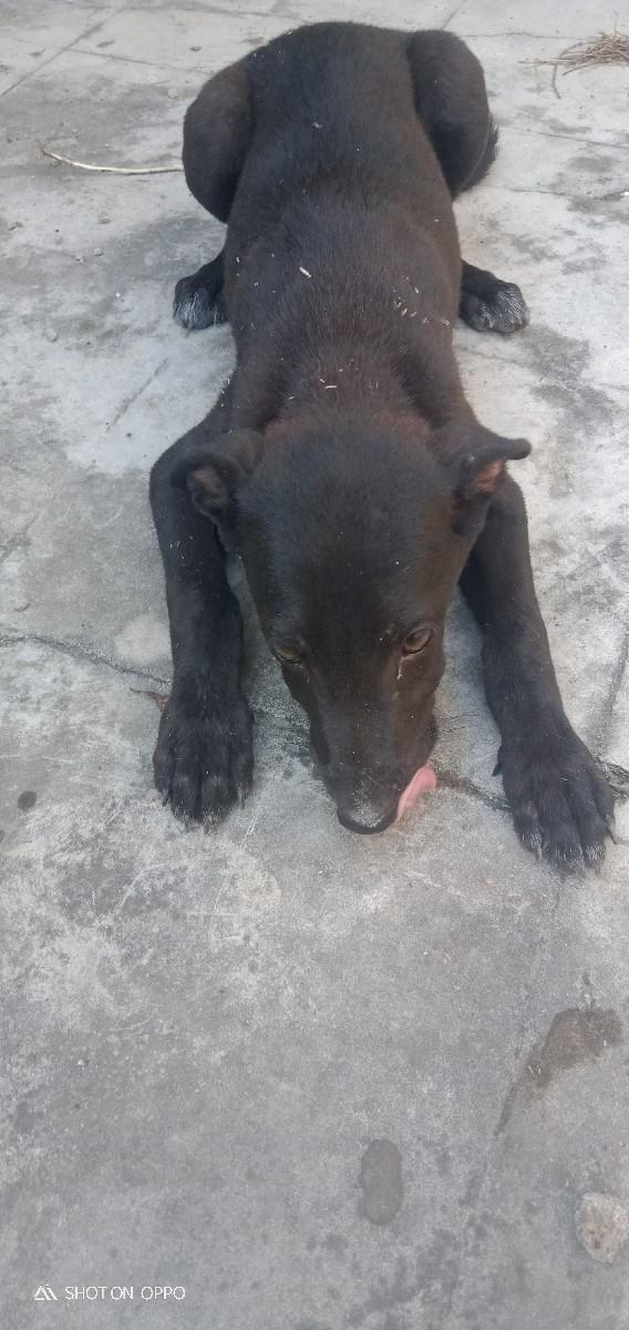 થંબનેલ 2