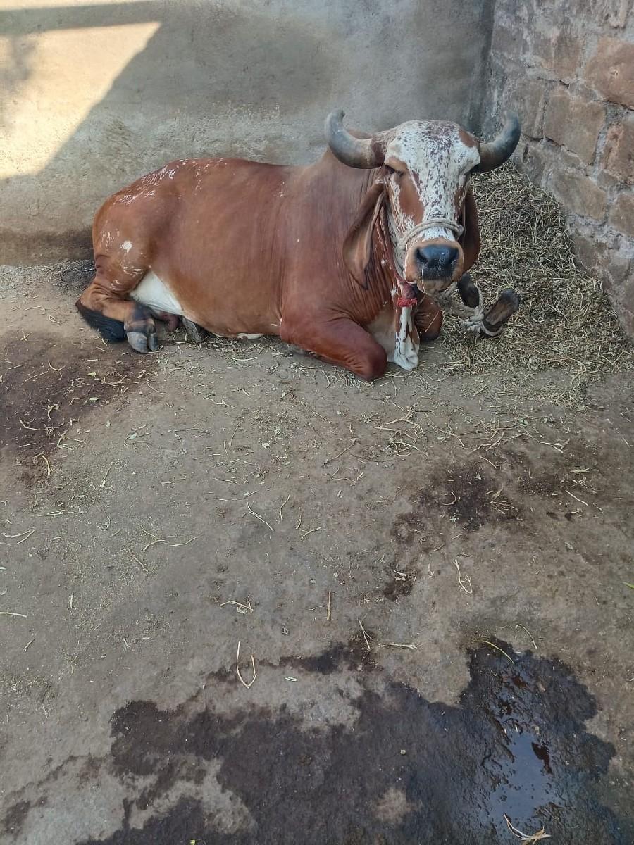 9924040492 આમ જ ફોન કરવો