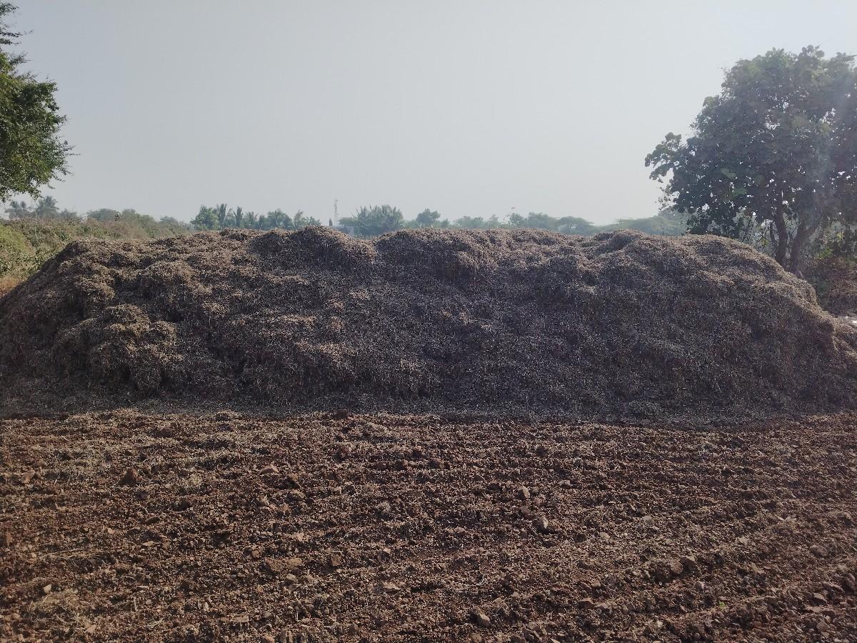 Mandvi no bhuko vesvano se