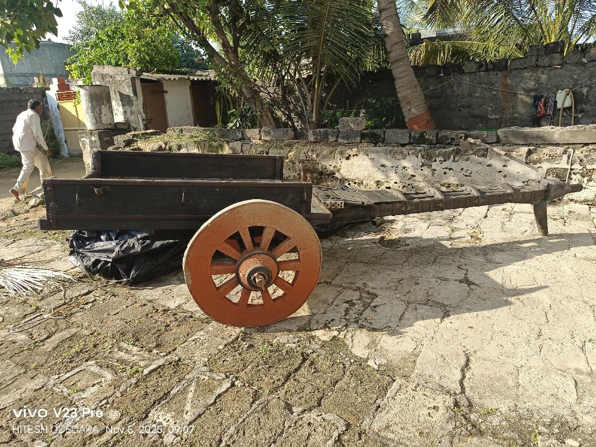 થંબનેલ 3