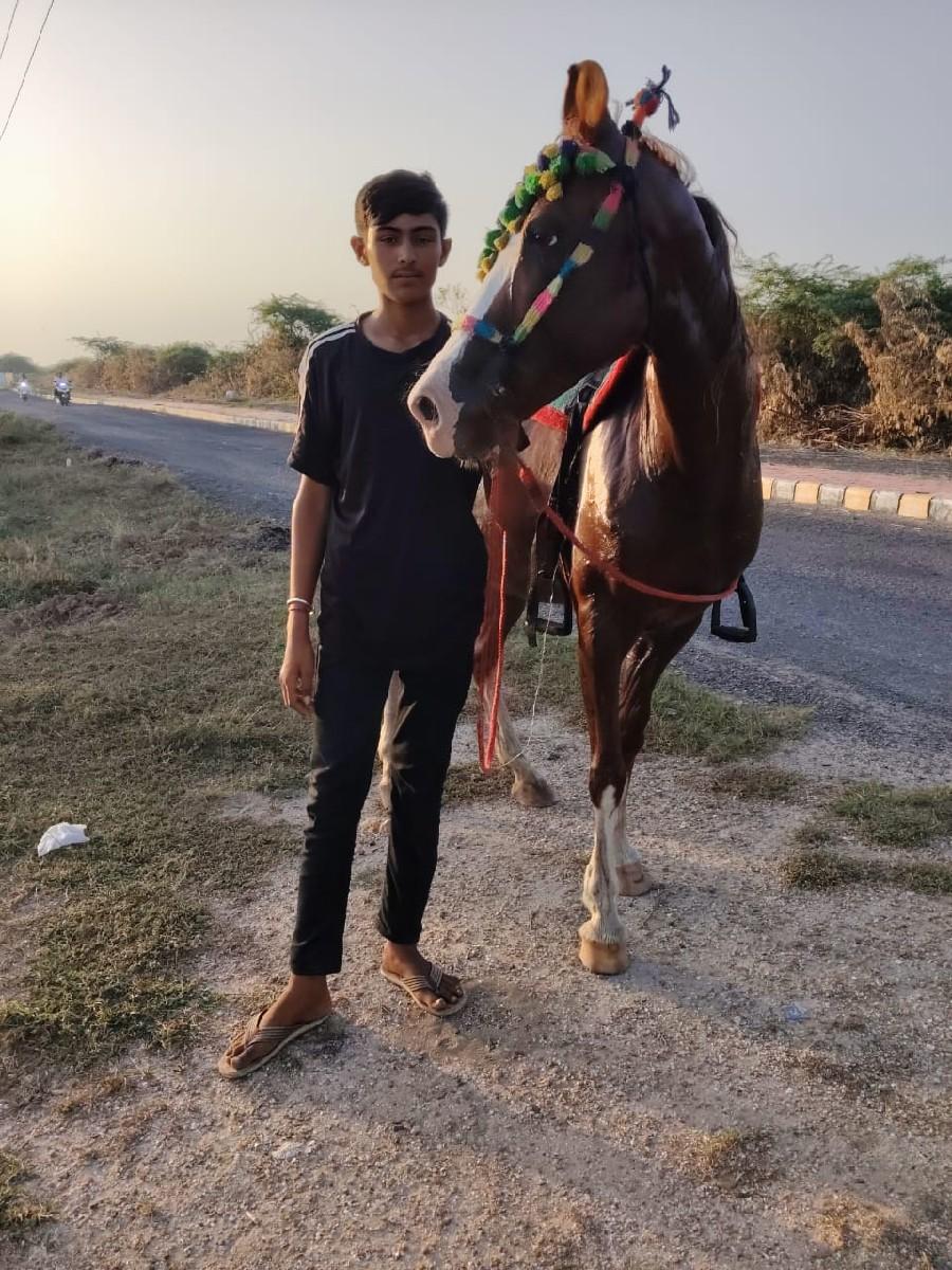 થંબનેલ 2