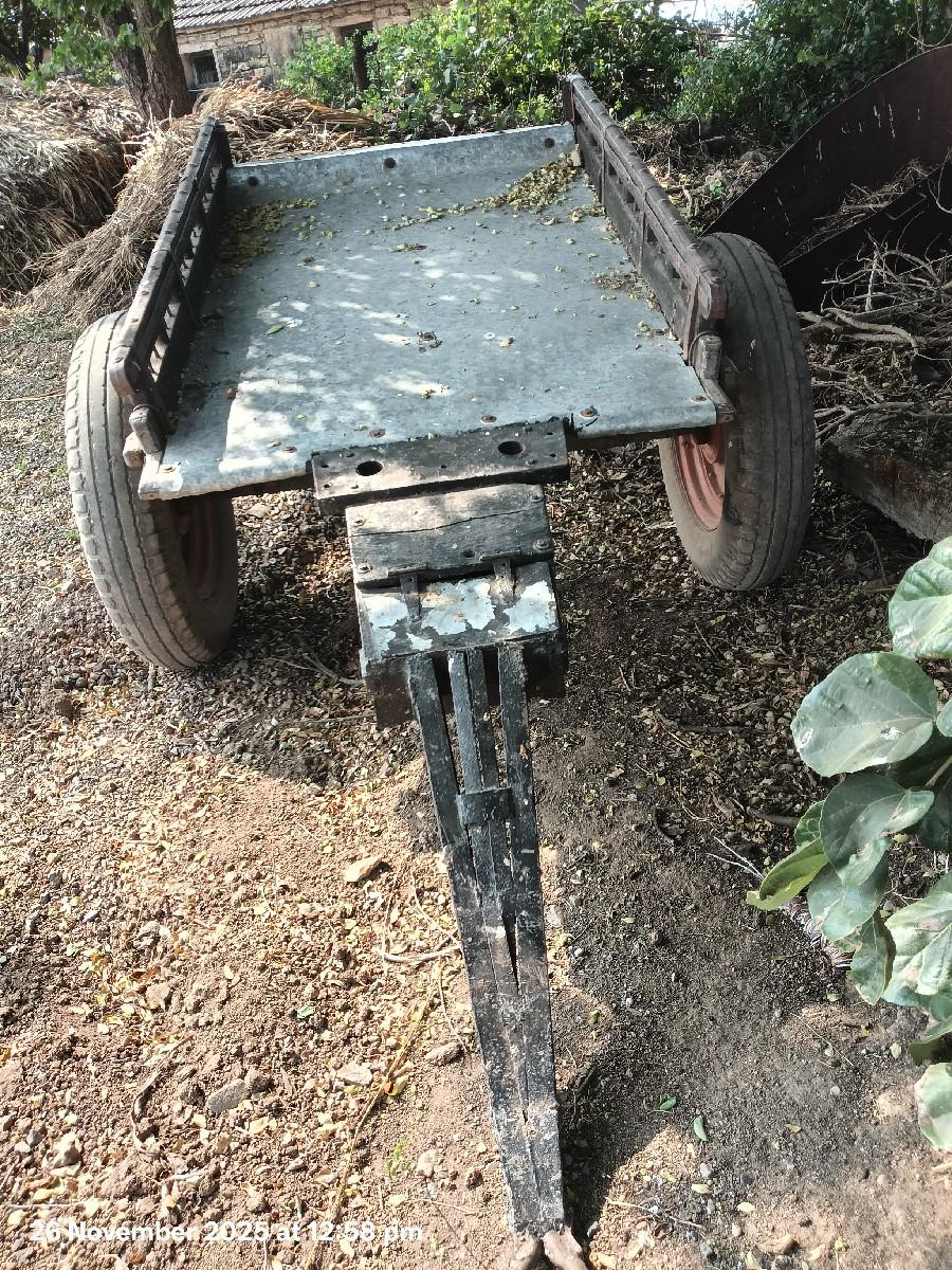 થંબનેલ 2