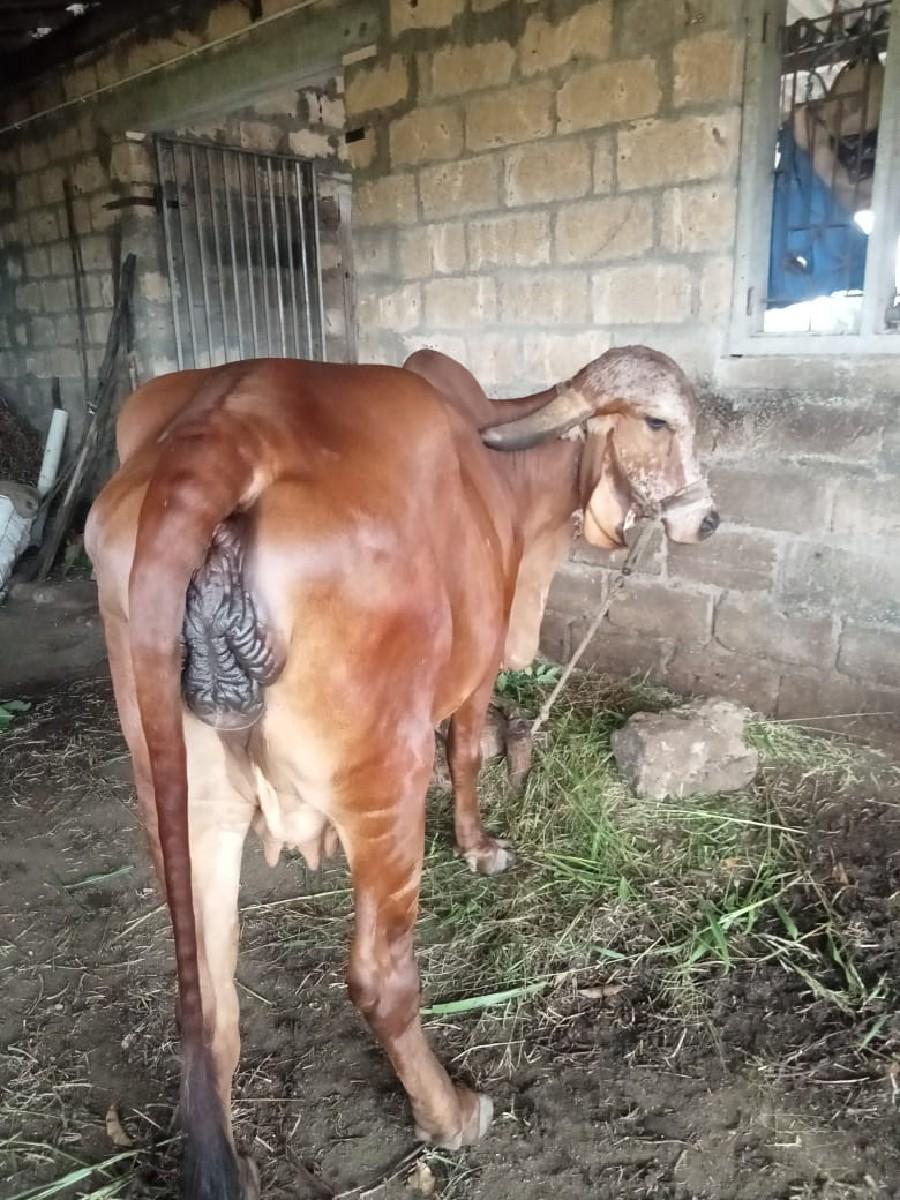 થંબનેલ 3