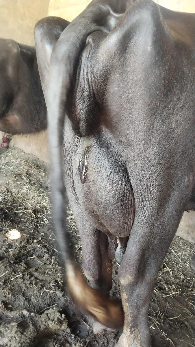 થંબનેલ 3