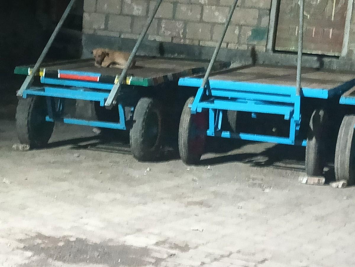 થંબનેલ 2