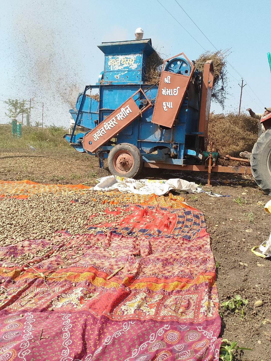 થંબનેલ 2