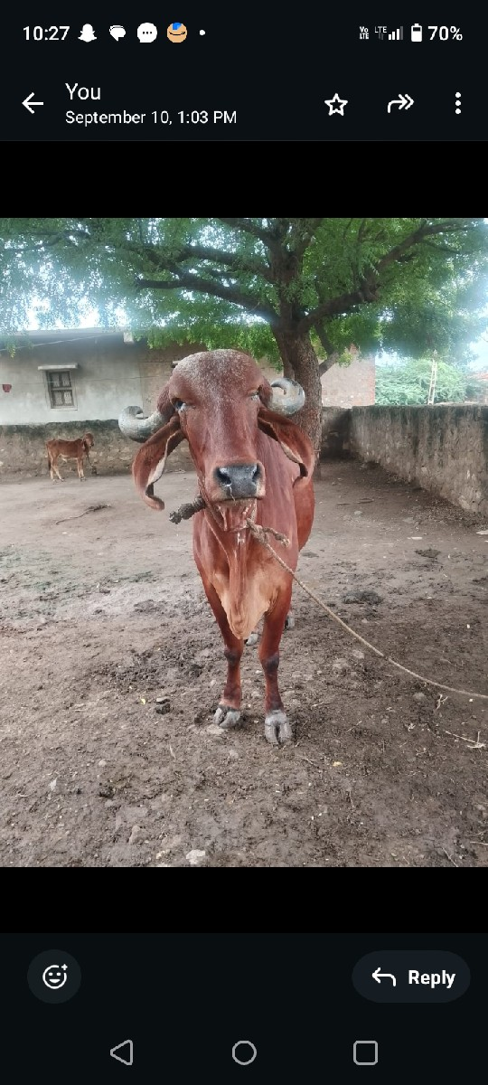 થંબનેલ 3