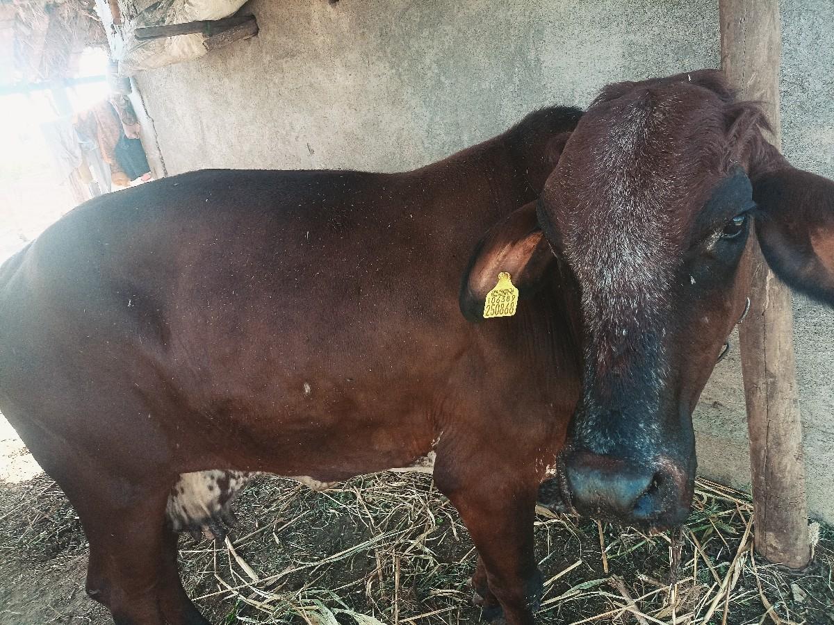 થંબનેલ 3