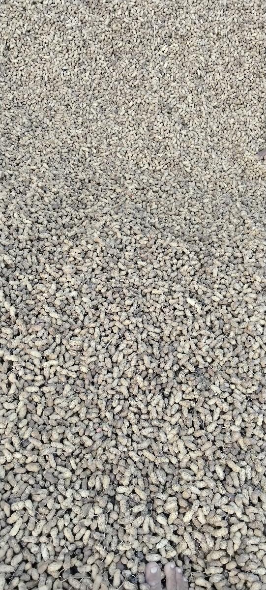 વેચવાનું છે