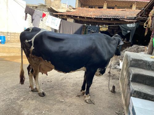 થંબનેલ 3