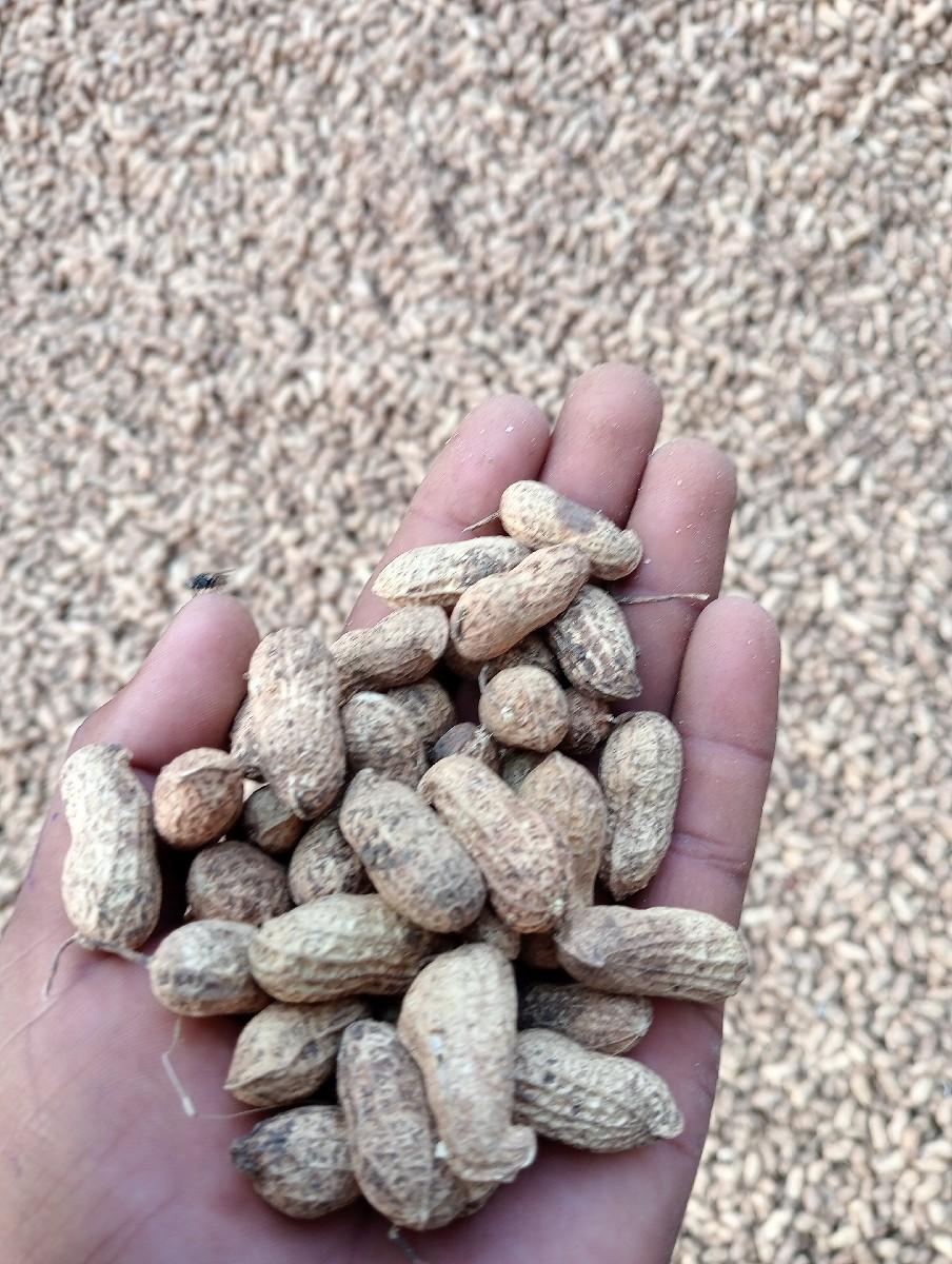 થંબનેલ 3