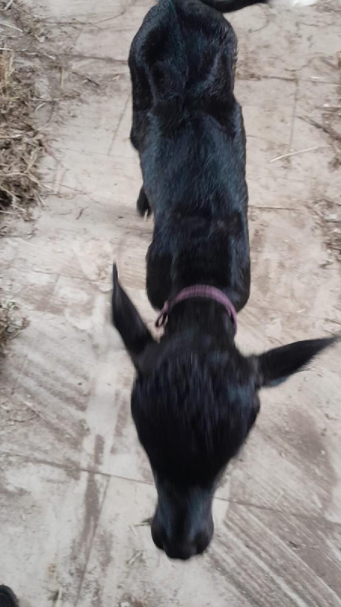 થંબનેલ 3