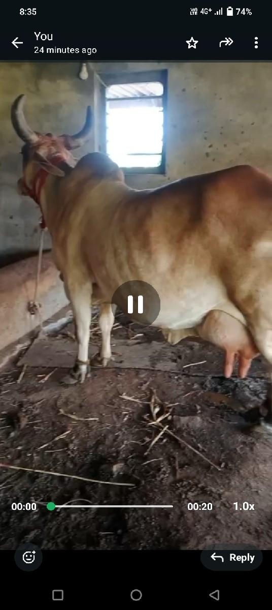 થંબનેલ 2