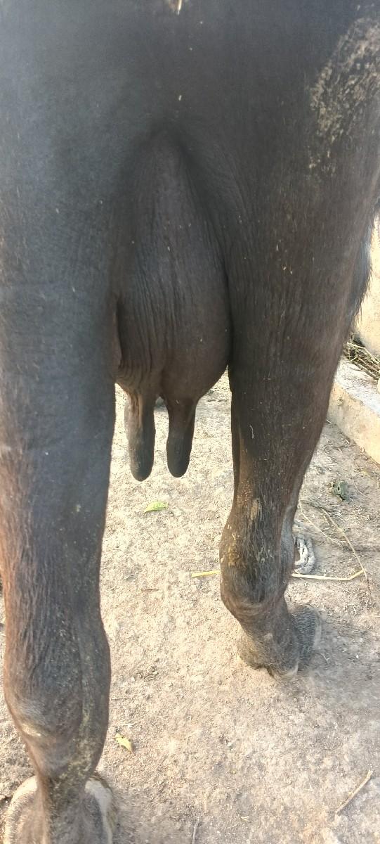 થંબનેલ 2