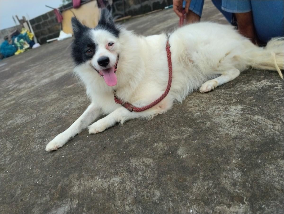 વેચવાનો છે