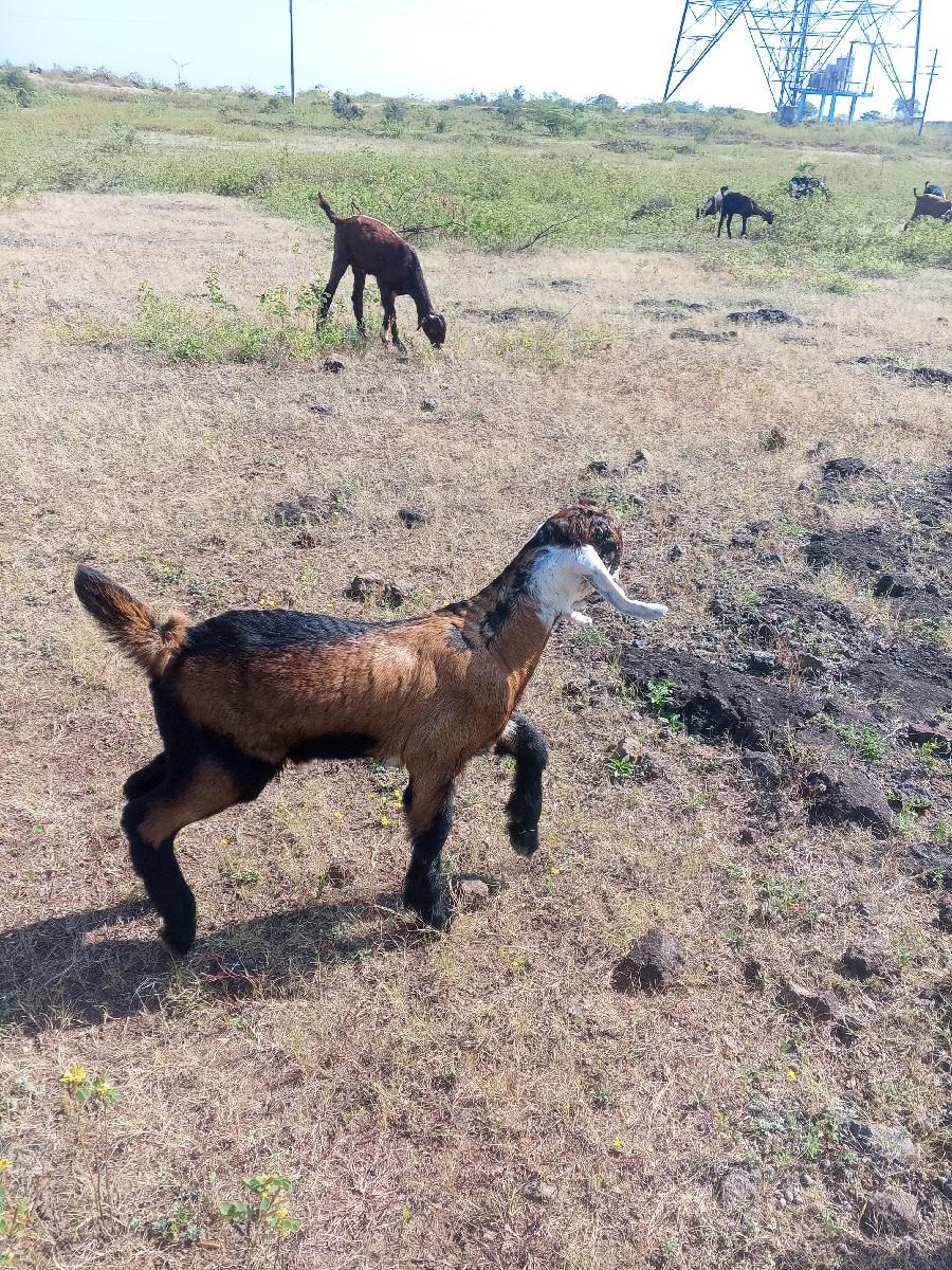 થંબનેલ 2