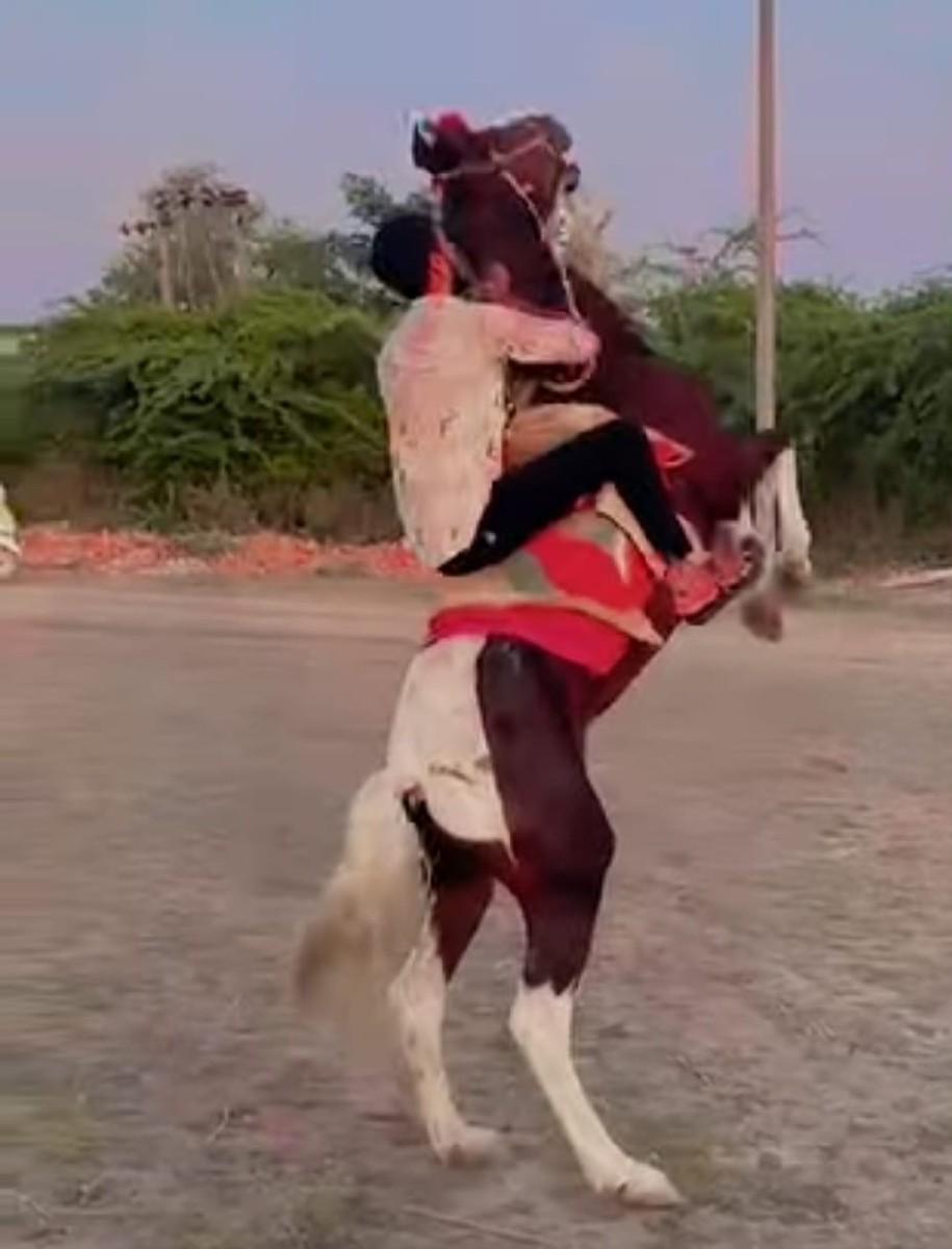 થંબનેલ 2