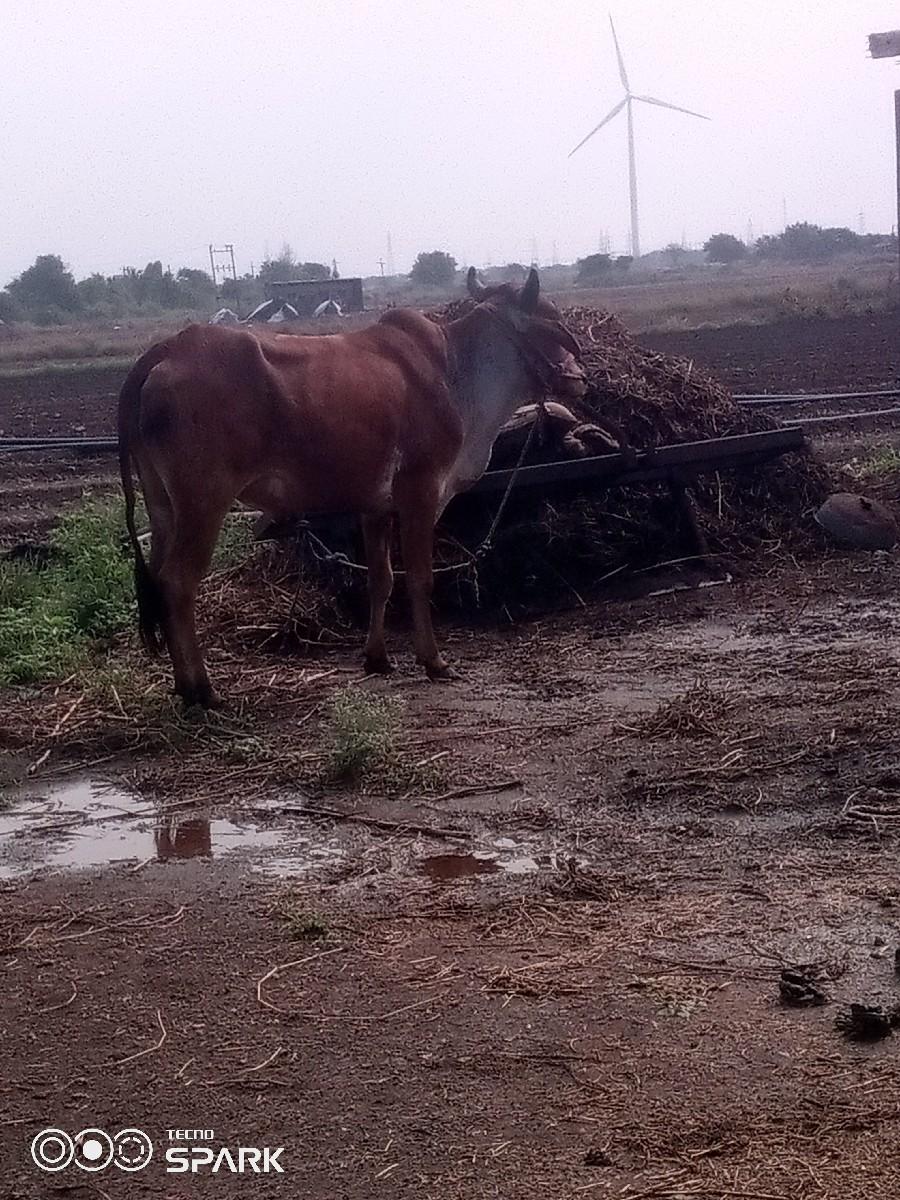 વેચવાનુછે