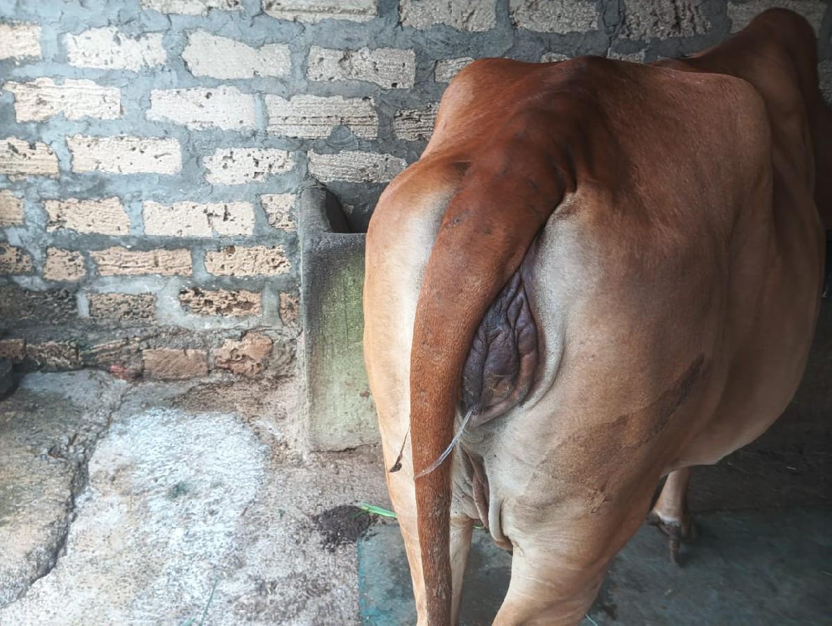 થંબનેલ 2