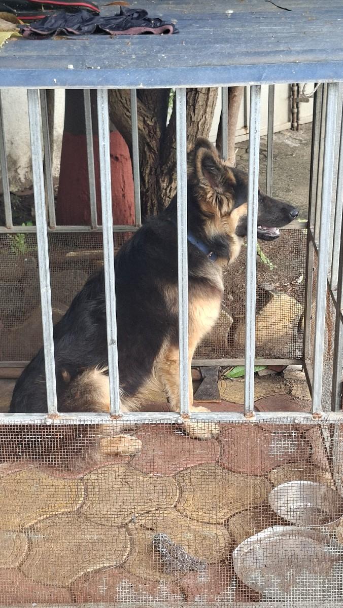 થંબનેલ 3