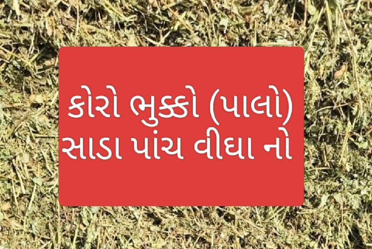 કોરો ભુક્કો પલળ્યા વિનાનો