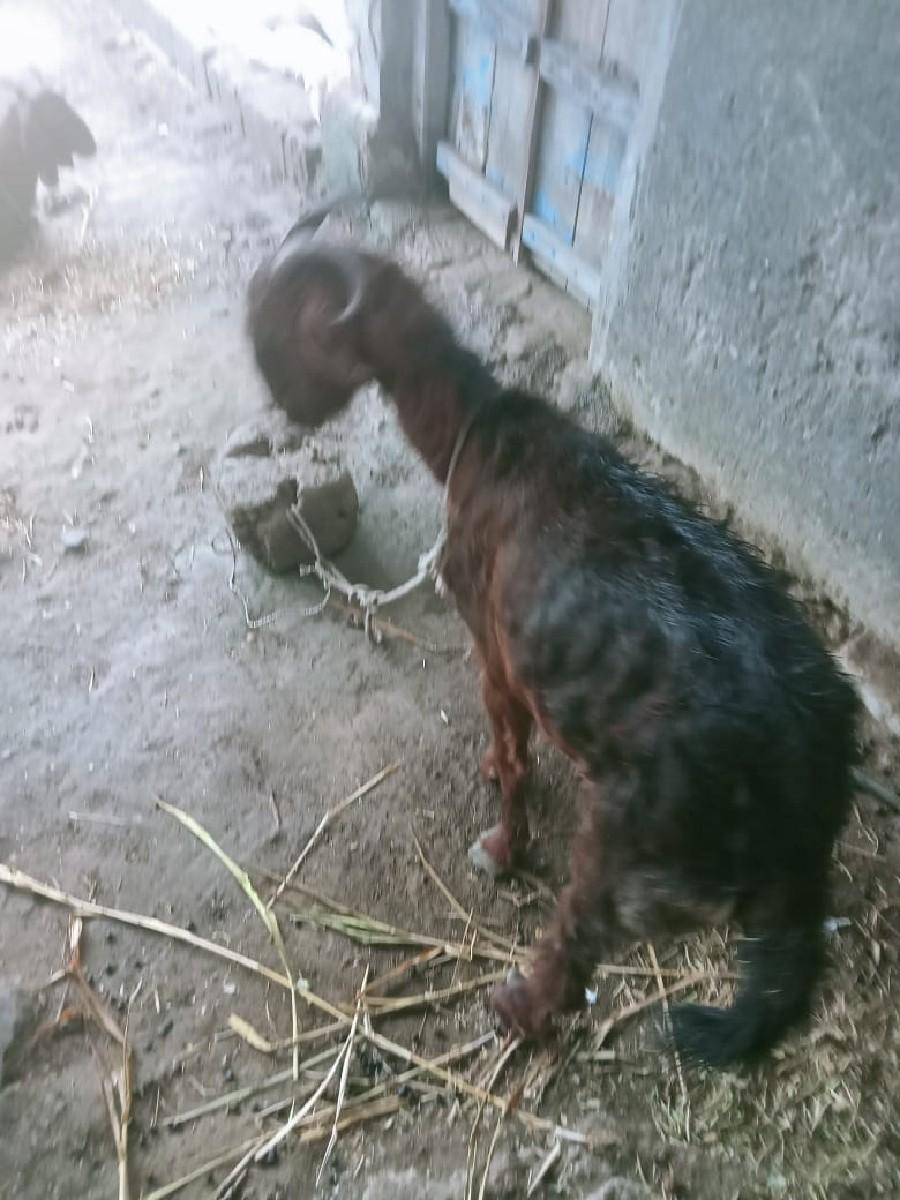 થંબનેલ 3