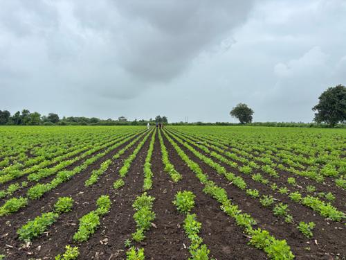 थंबनेल 2