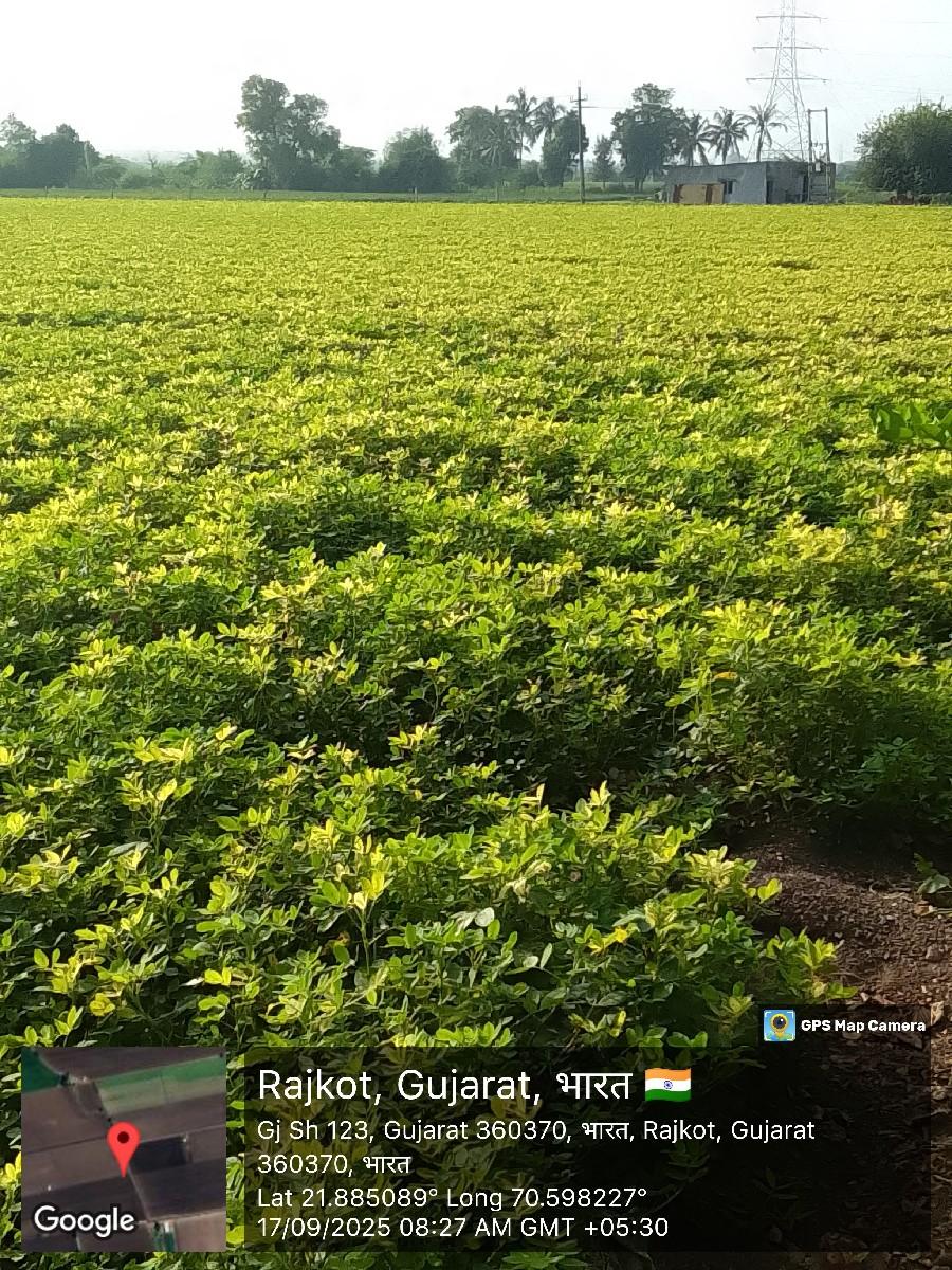 થંબનેલ 3