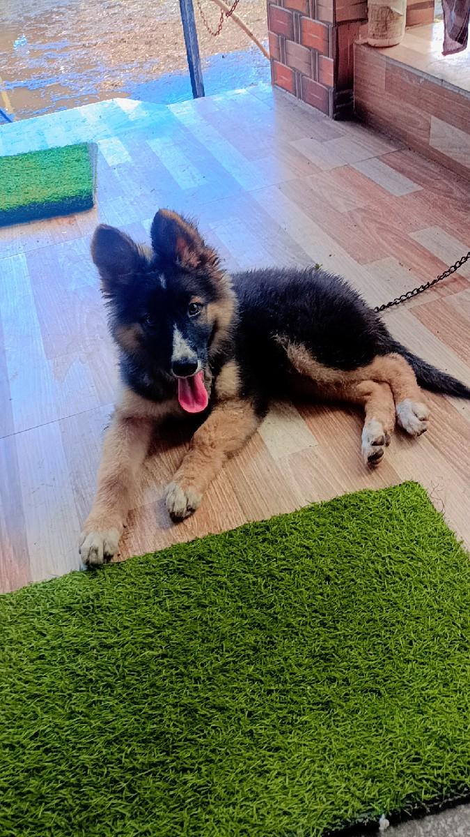 થંબનેલ 2