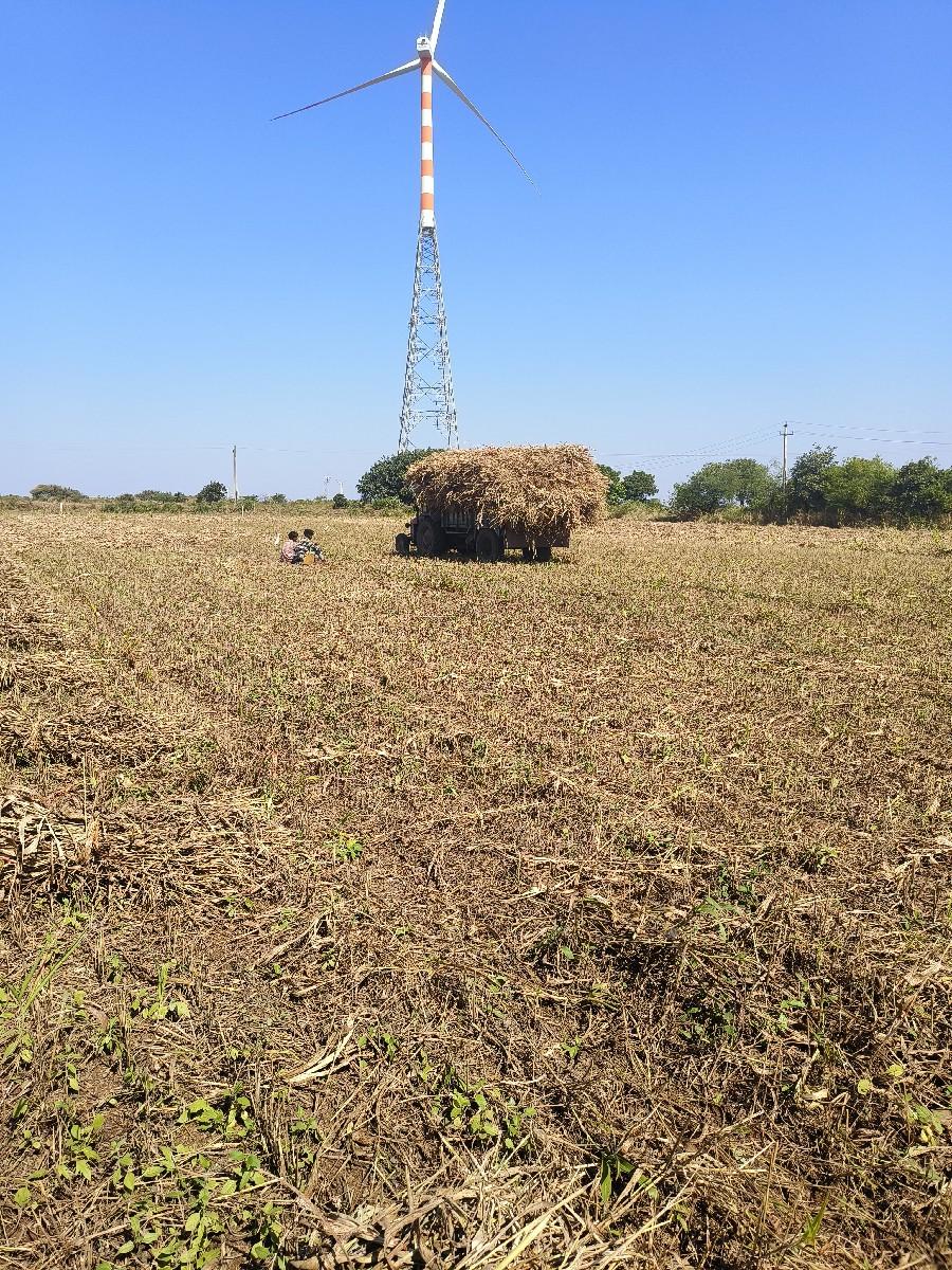 થંબનેલ 3