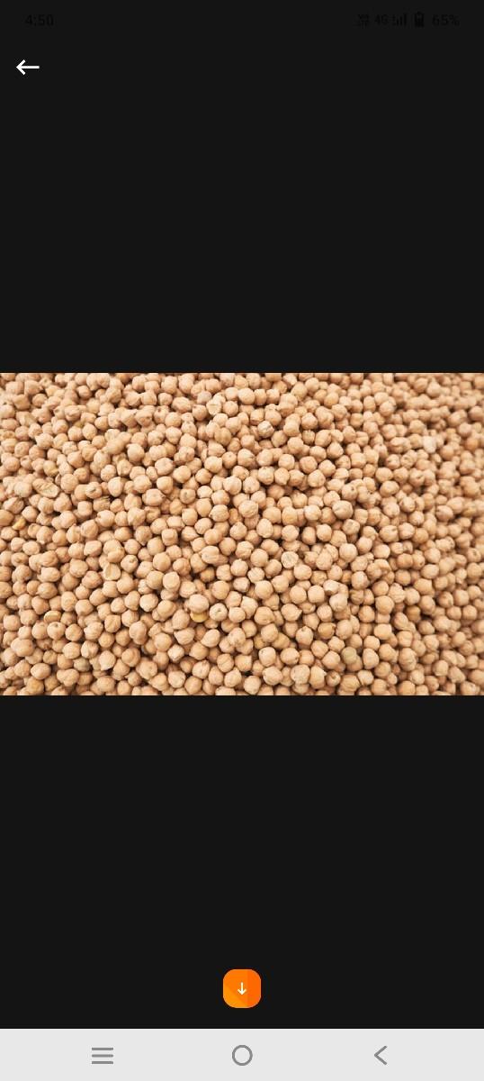 b2 ચણાના ખાતરી બંધ બિયારણ