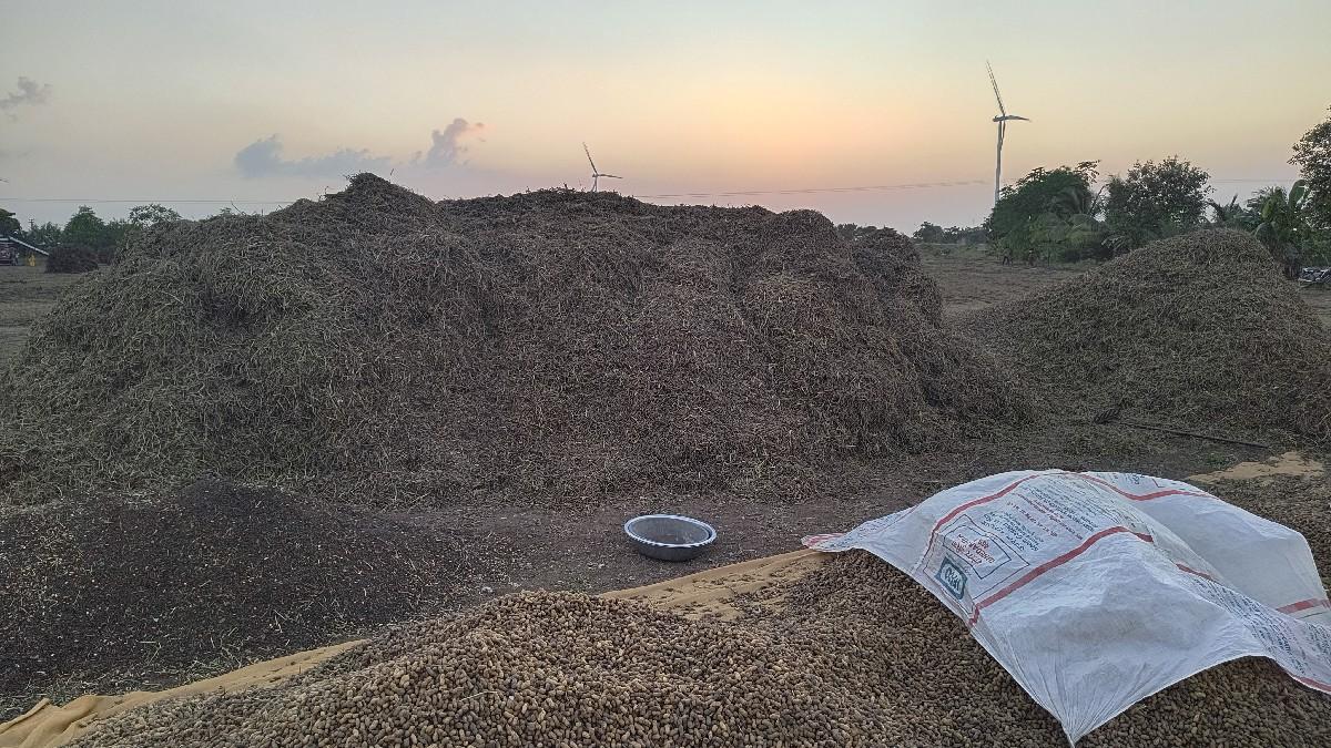 માંડવીનો ભૂકો વેચવાનો છે