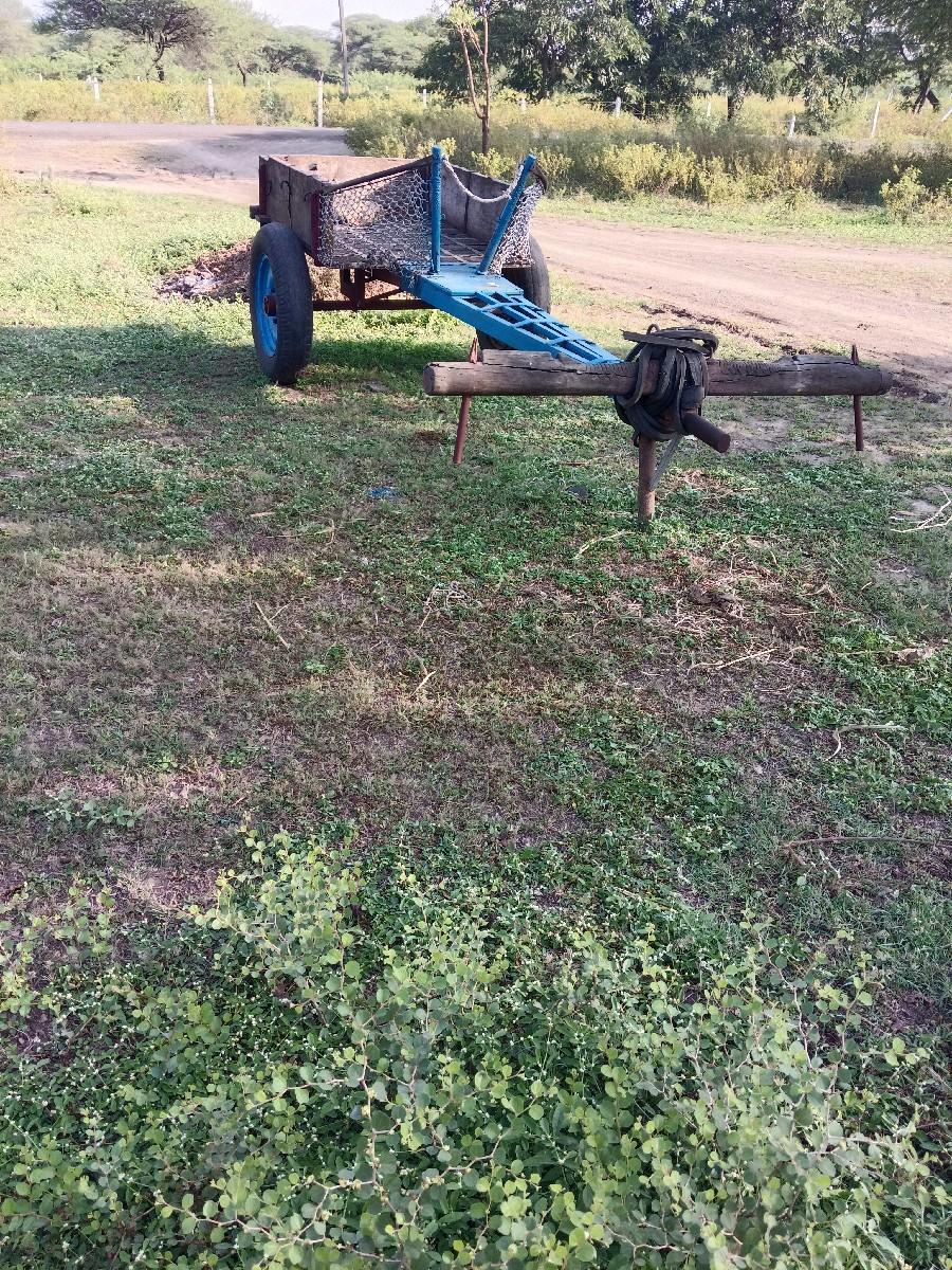 થંબનેલ 3