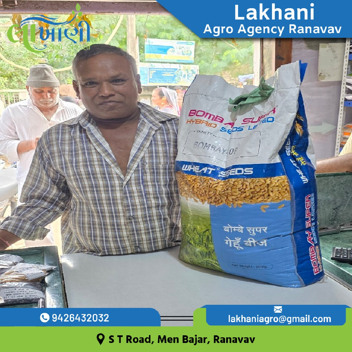 ઘઉં લોકવન બોમ્બે સુપર 108