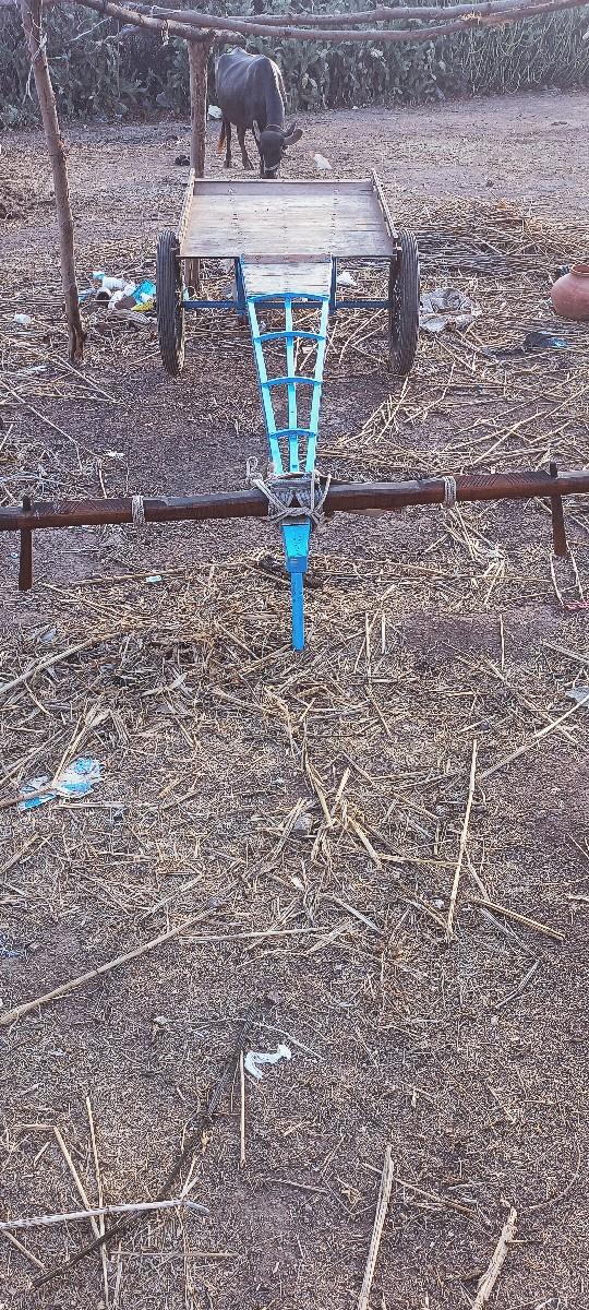 થંબનેલ 2