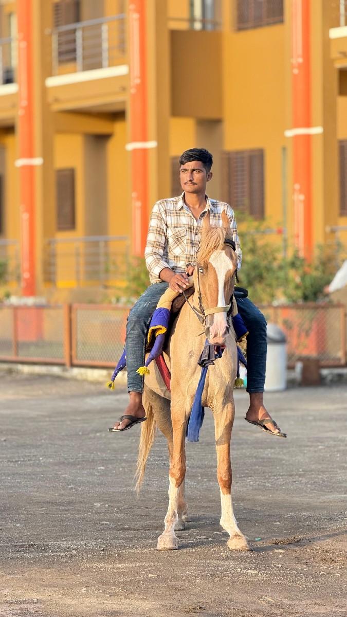 વેચવાની છે