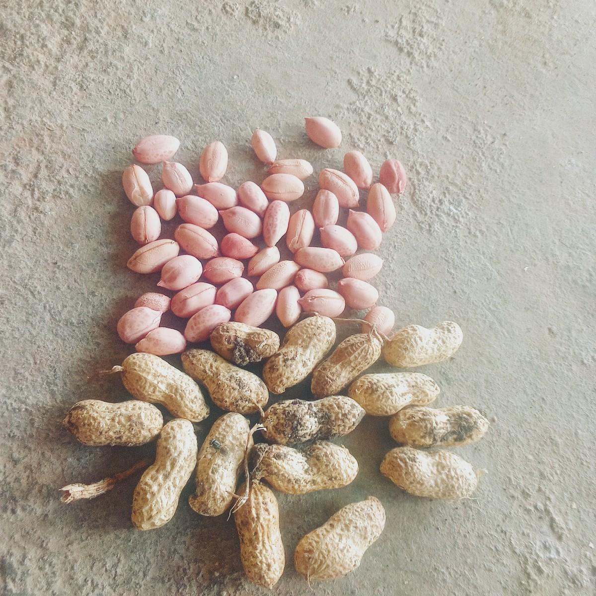 થંબનેલ 3