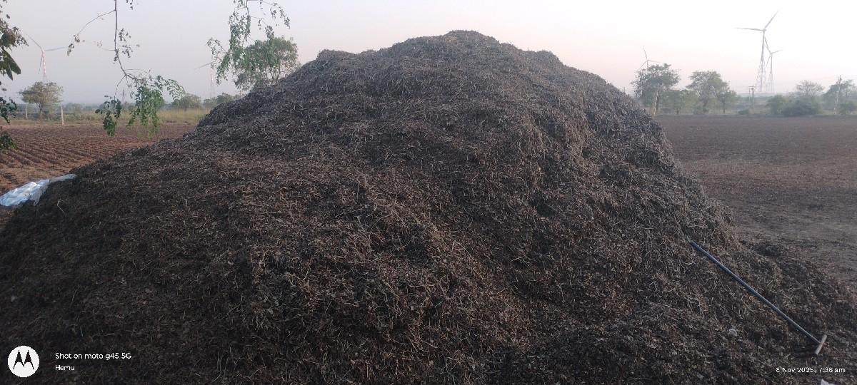 માંડવી નો ભુક્કો 
Mandvi no bhuko