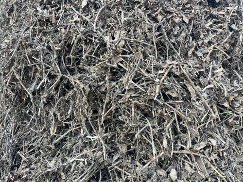 ભુકો વેચવાનો છે