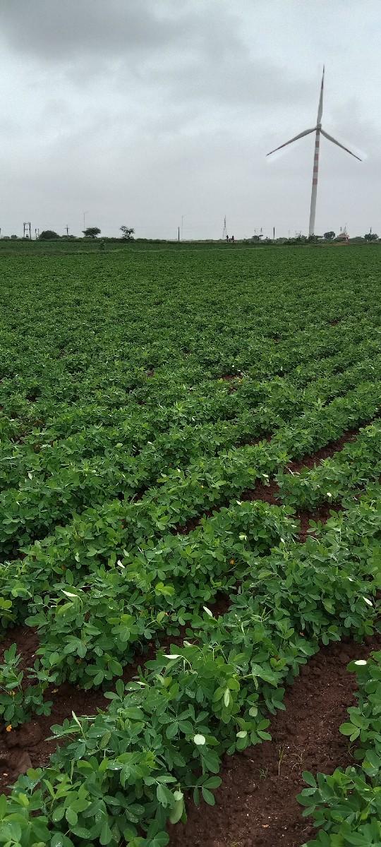 થંબનેલ 2