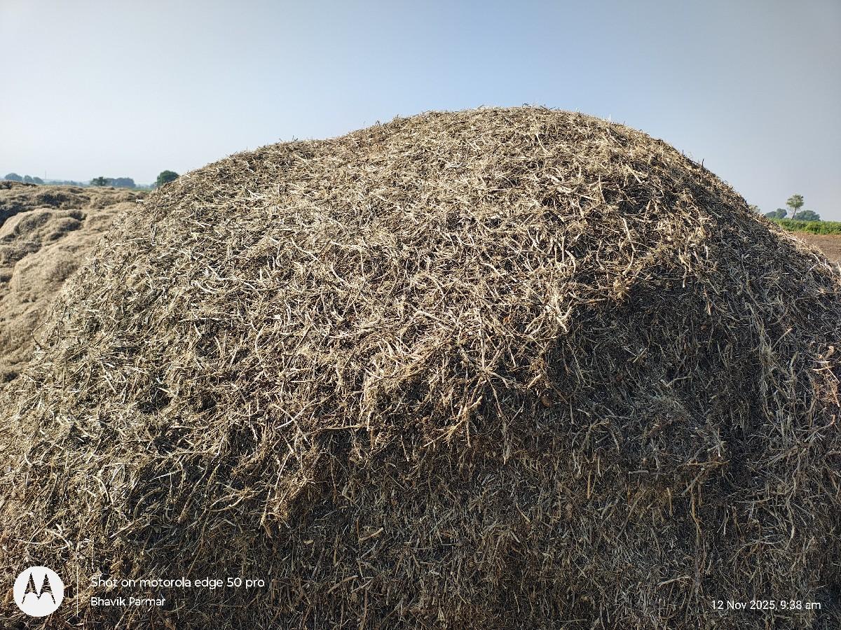 માંડવી નો પાલો વેચવાનો છે.