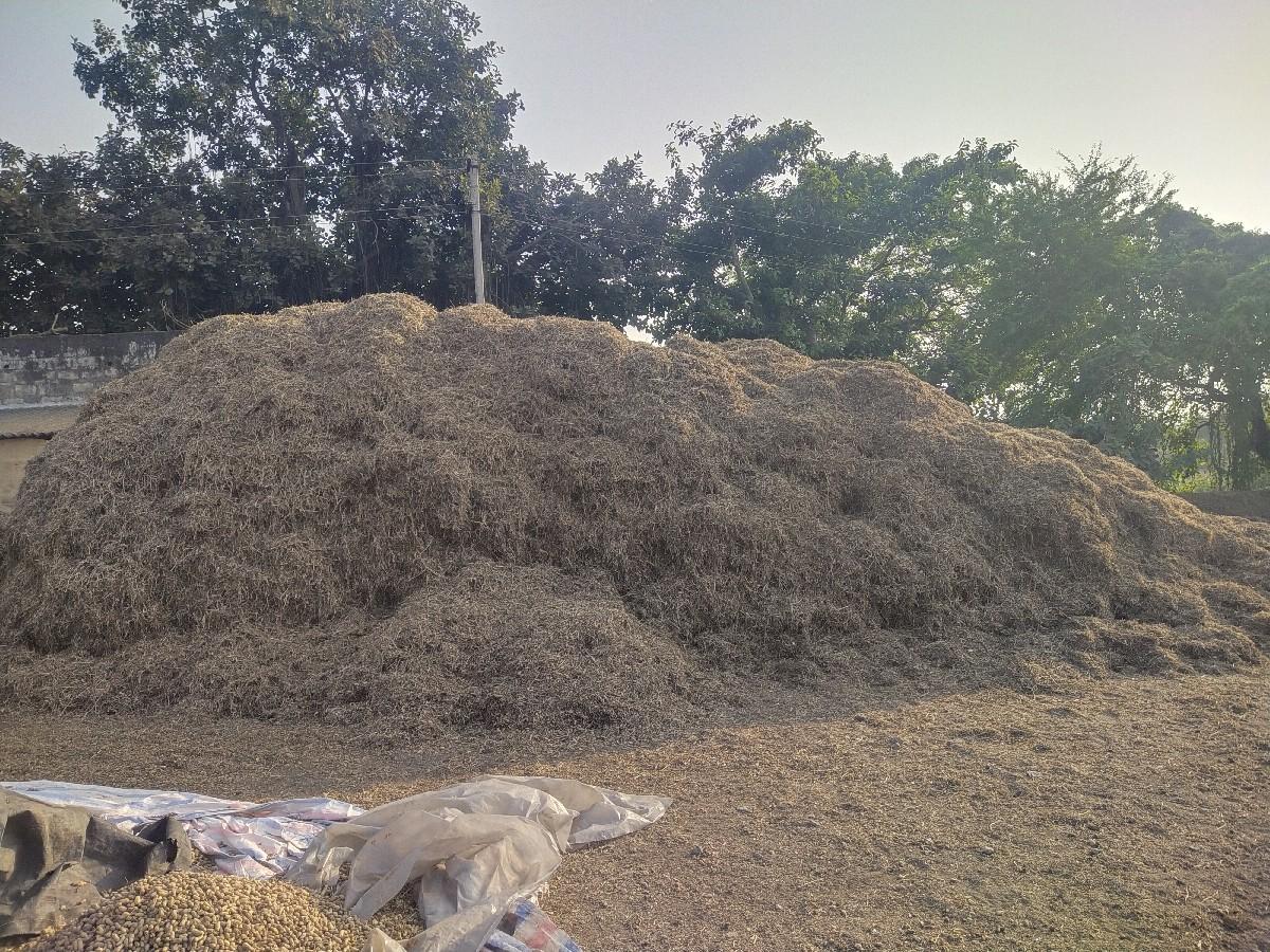 માંડવી નો ભૂકો વેચવાનો સૅ